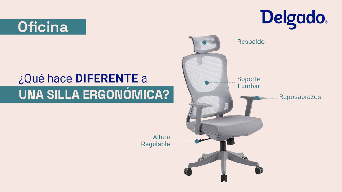 Sillas Ergonómicas: Los Modelos Más Recomendados por Delgado