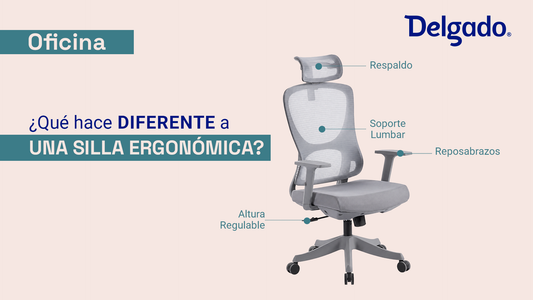 Sillas Ergonómicas: Los Modelos Más Recomendados por Delgado