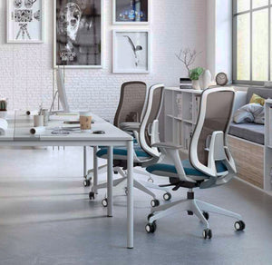 SILLA ANIA