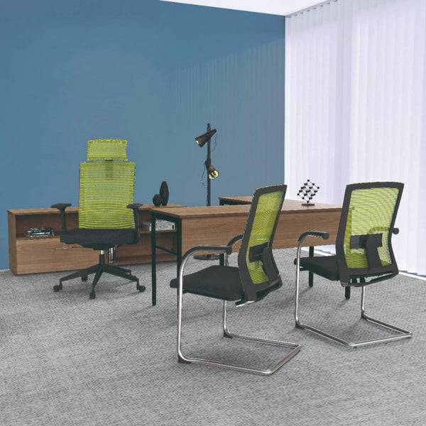 SILLON  SAN PIETRO (N436)