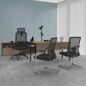 SILLON  SAN PIETRO (N436)