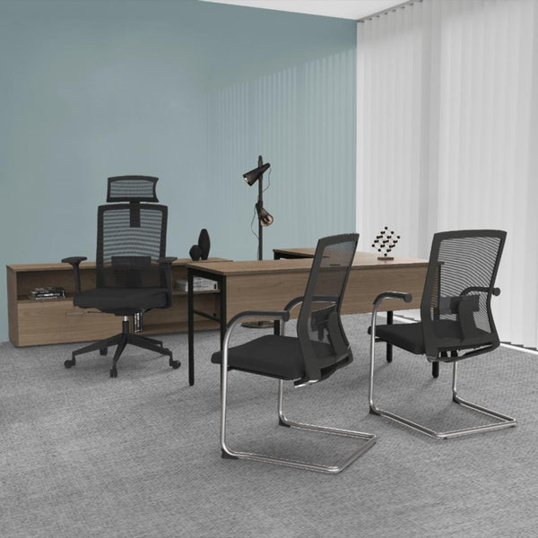 SILLON  SAN PIETRO (N436)